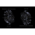 Transtraterrestrial: Dark Matter and Black Divinities - Paperback