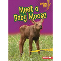 Meet a Baby Moose - Paperback