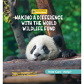 Making a Difference with the World Wildlife Fund - Library Binding