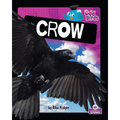 Crow - Paperback