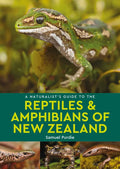A Naturalist's Guide to the Reptiles & Amphibians of New Zealand - Paperback