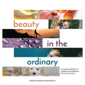 Beauty in the Ordinary: an inspiring collection of readings and meditations for Lent or any time - Paperback