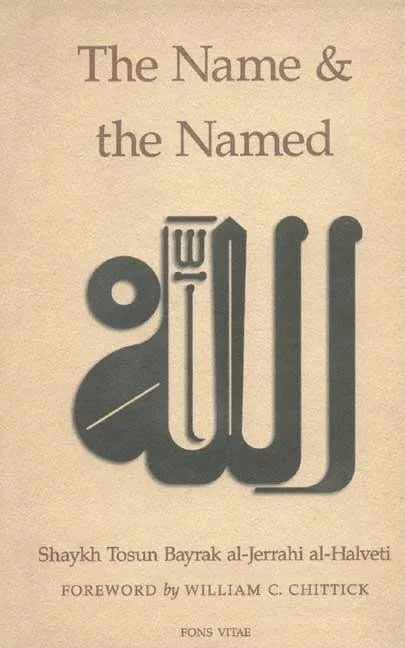 The Name and the Named - Paperback
