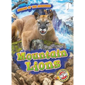 Mountain Lions - Library Binding