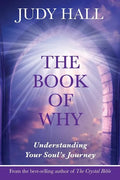 The Book of Why - Paperback