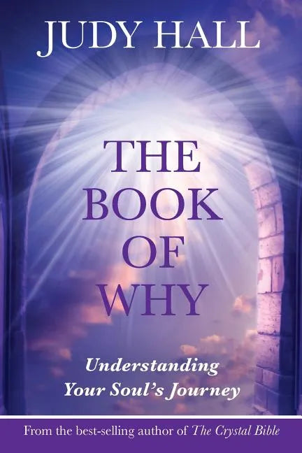 The Book of Why - Paperback