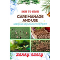 How to Grow Care Manage and Use American Groundnut for Profit: One Touch Guide To Unleashing The Potential Of American Groundnut Farming For Sustainab - Paperback