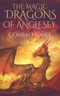 The Magic Dragons of Anglesey: The Rock Goblins - Paperback