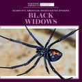 Black Widows - Library Binding