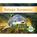 Beluga Sturgeons - Library Binding