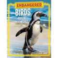 Endangered Birds Around the World - Hardcover