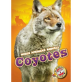 Coyotes - Library Binding