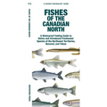 Fishes of the Canadian North - Paperback