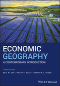 Economic Geography: A Contemporary Introduction - Paperback
