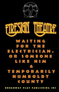 Waiting for the Electrician, or Someone Like Him & Temporarily Humboldt County - Paperback