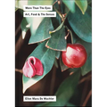More Than the Eyes: Art, Food and the Senses - Paperback