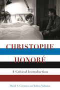 Christophe Honore: A Critical Introduction - Paperback