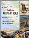 California Elephant Seals - Paperback