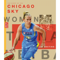 The Story of the Chicago Sky - Library Binding