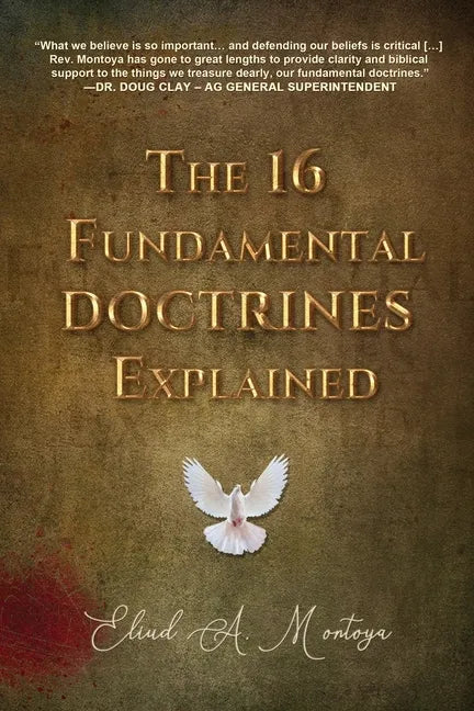 The 16 Fundamental Doctrines Explained - Paperback