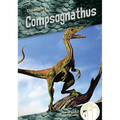 Compsognathus - Library Binding