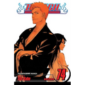 Bleach, Vol. 74 - Paperback