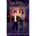 A Fire in the Shadows: A Bolingbrook Babbler Story - Paperback