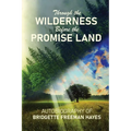 Through the Wilderness Before the Promise Land - Paperback