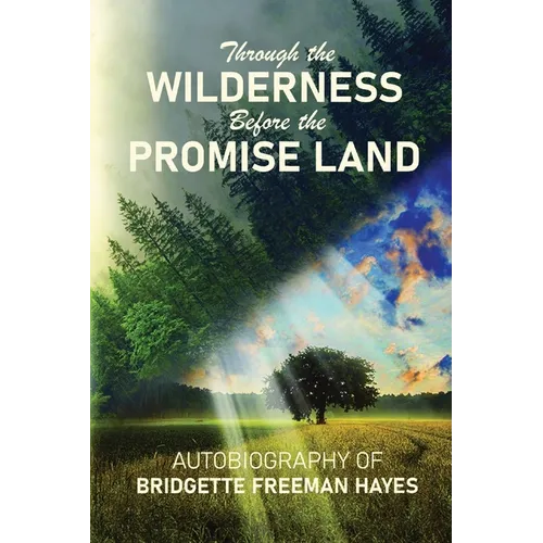 Through the Wilderness Before the Promise Land - Paperback