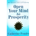 Open Your Mind to Prosperity - Paperback