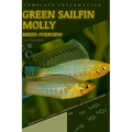 Green Sailfin Molly: From Novice to Expert. Comprehensive Aquarium Fish Guide - Paperback