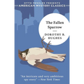 The Fallen Sparrow - Paperback