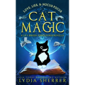 Love, Lies, and Hocus Pocus Cat Magic: A Lily Singer Adventures Novella - Paperback