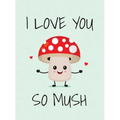 I Love You So Mush: Punderful Ways to Say I Love You - Hardcover