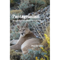 Pantagruelian: Photographs and Poems of Torres del Paine - Paperback