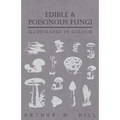 Edible and Poisonous Fungi - Illustrated in Colour - Paperback