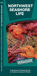 Northwest Seashore Life: A Folding Guide to Familiar Animals & Plants - Paperback