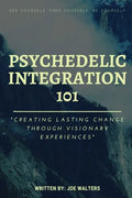 Psychedelic Integration 101: Creating Lasting Change Through Visionary Experiences - Paperback