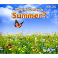What Can You See in Summer? - Paperback