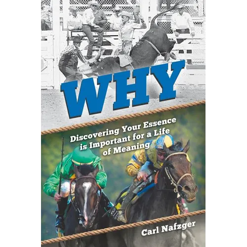 Why: Discovering Your Essence Is Important for a Life of Meaning - Paperback