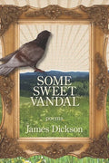 Some Sweet Vandal - Paperback