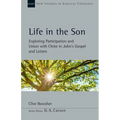 Life in the Son: Exploring Participation and Union with Christ in John's Gospel and Letters - Paperback