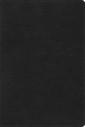 Rvr 1960 Biblia de Estudio Arcoiris, Negro Símil Piel - Imitation Leather