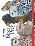 Birds of Prey Coloring Book - Paperback