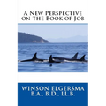 A New Perspective on the Book of Job - Paperback