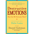 Destructive Emotions: A Scientific Dialogue with the Dalai Lama - Paperback