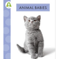 Animal Babies - Hardcover