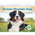 Bernese Mountain Dogs - Library Binding