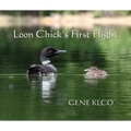 Loon Chick's First Flight - Paperback