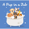 A Pup in a Tub